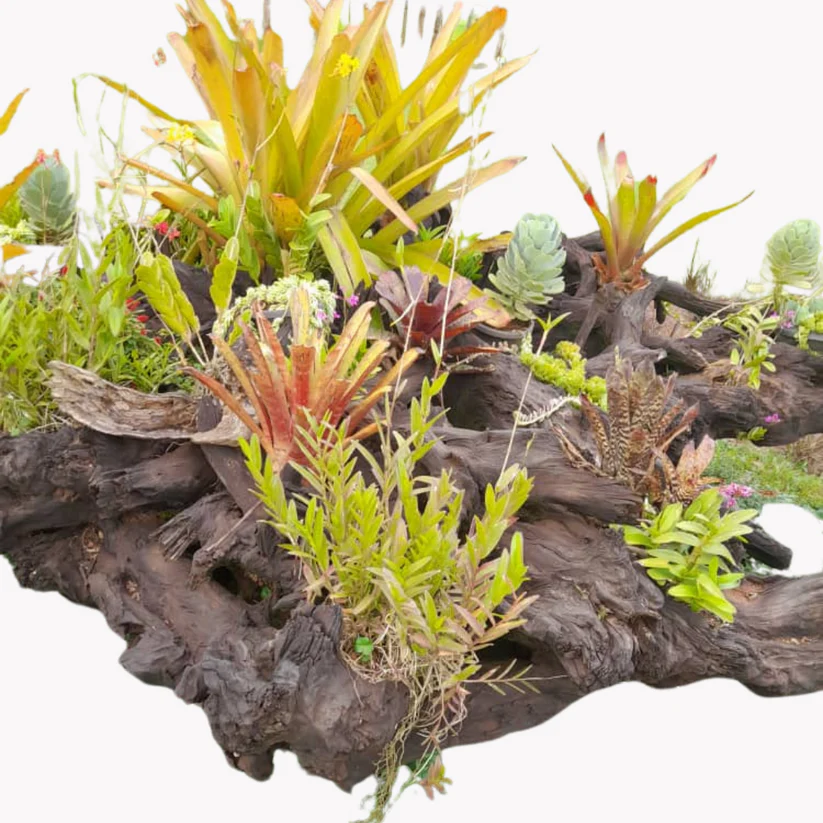 Tree Stamps Mounts - Image 2