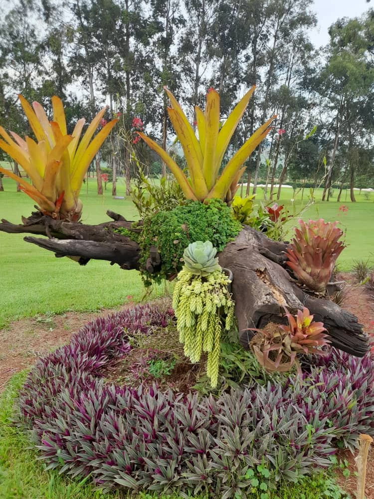 Rainforest Totem - Image 4