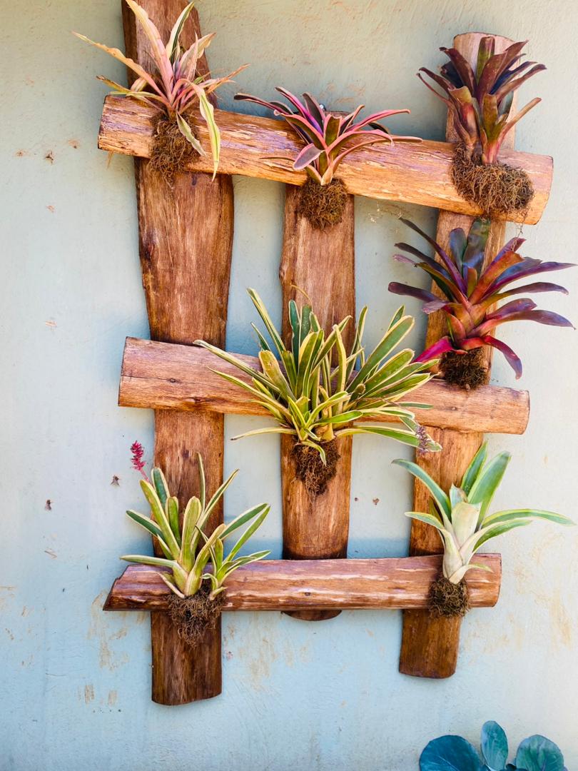 Bromeliad Wall Pallet - Image 4