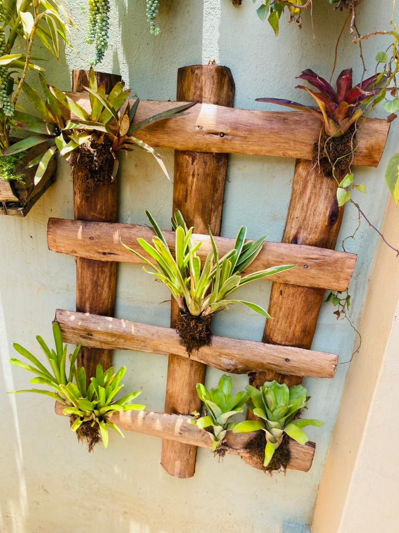 Bromeliad Wall Pallet - Image 5