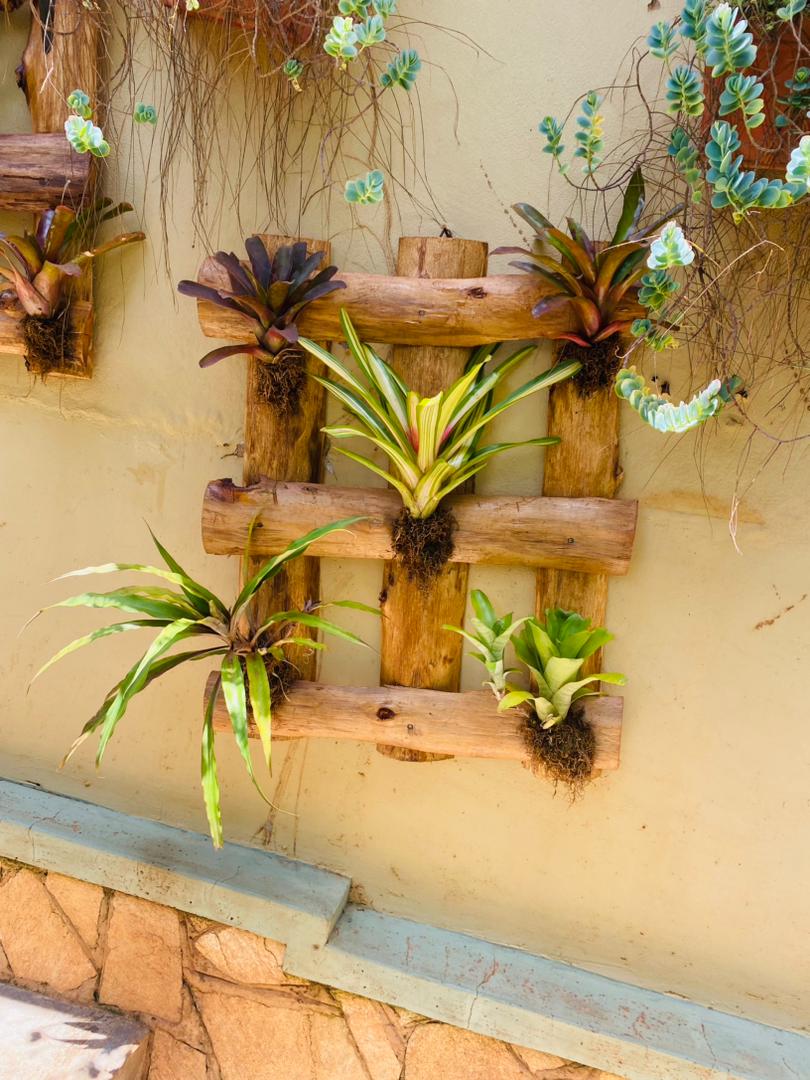 Bromeliad Wall Pallet - Image 3