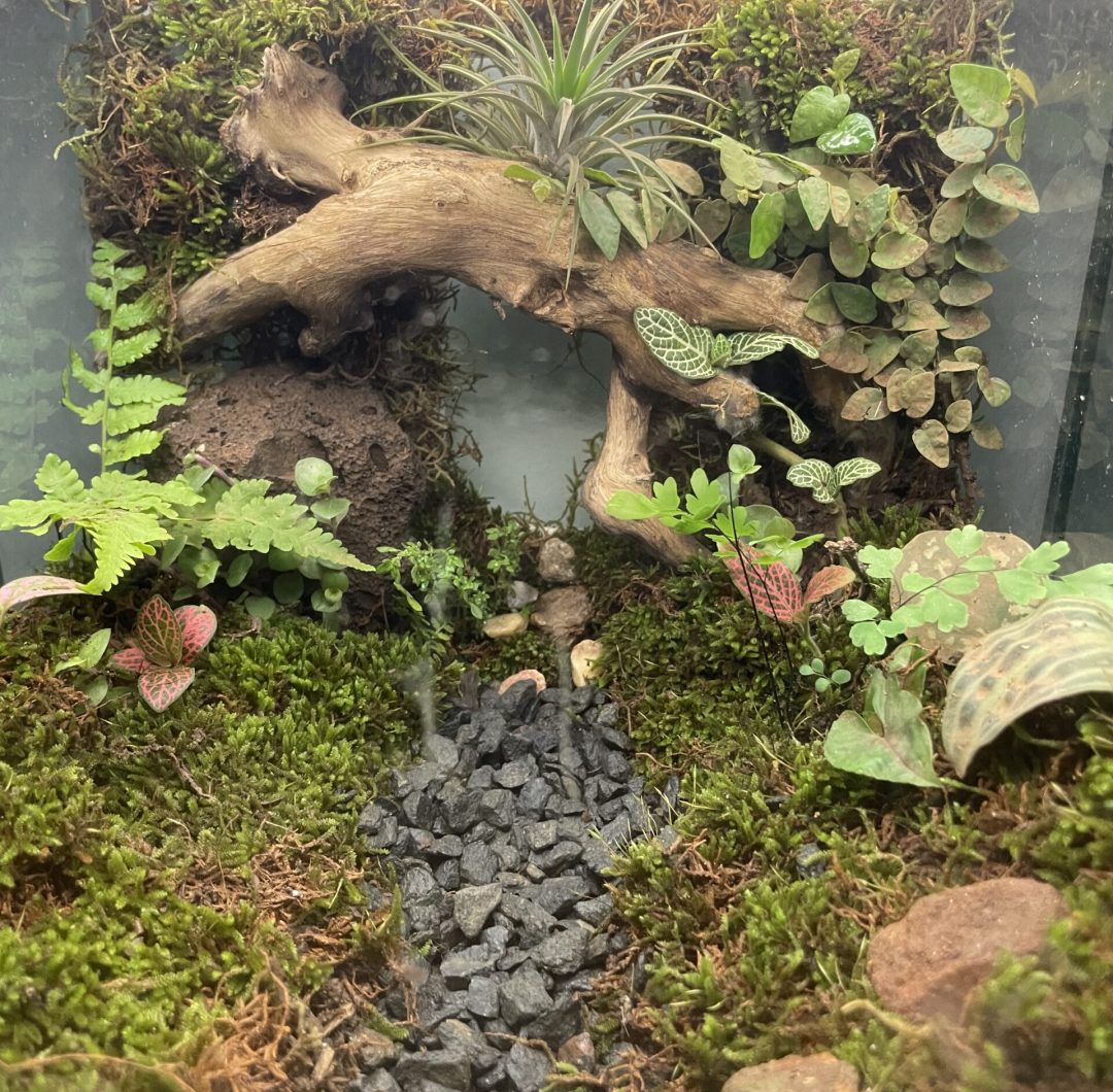 2025_08_25_19_28_IMG_6353